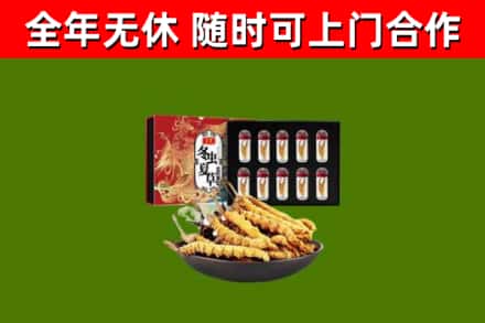 潍城区烟酒回收冬虫夏草礼盒.jpg