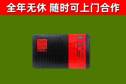 潍城区回收阿胶