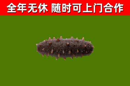 潍城区烟酒回收干海参.jpg